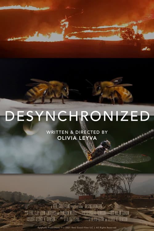 Постер: Desynchronized