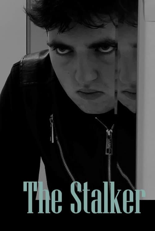 Постер: The Stalker