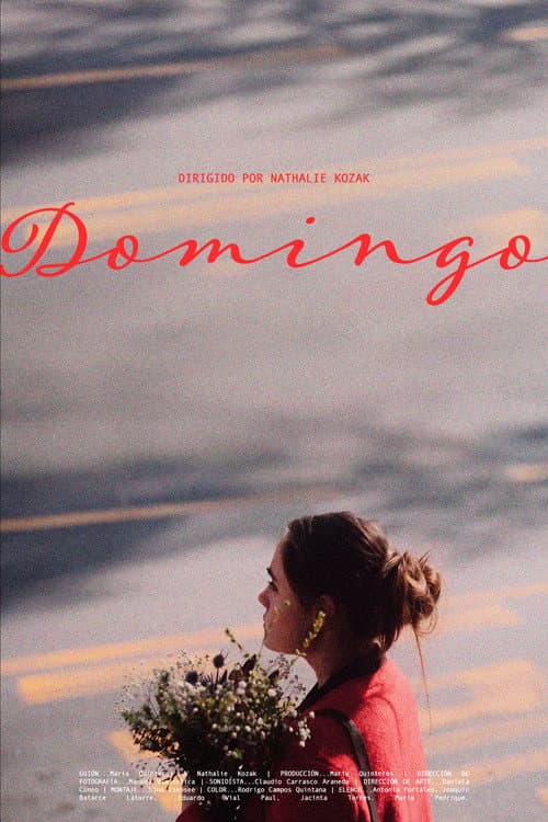 Постер: Domingo