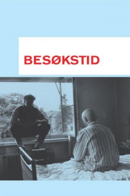 Постер: Besøkstid