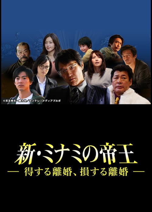 Постер: 新・ミナミの帝王~得する離婚、損する離婚~