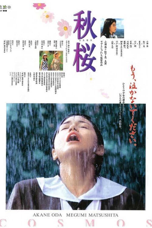 Постер: 秋桜　コスモス