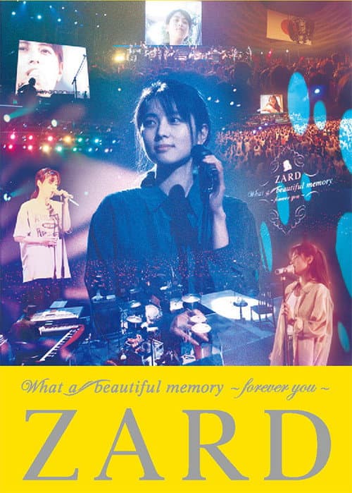 Постер: What a beautiful memory ～forever you～