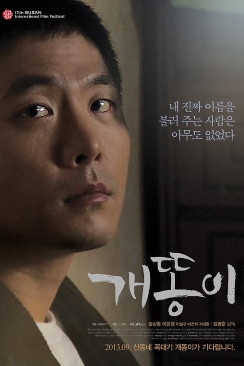 Постер: 개똥이
