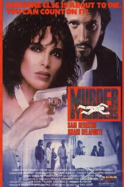 Постер: Murder by Numbers