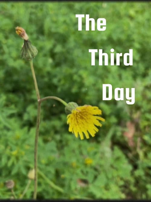 Постер: The Third Day
