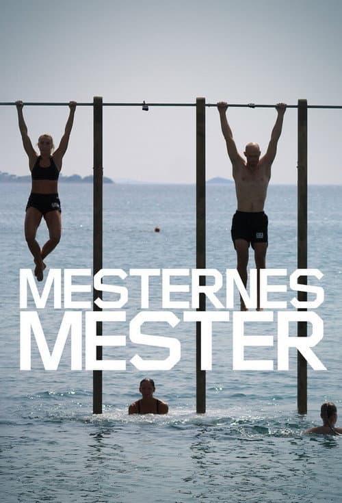 Постер: Mesternes mester