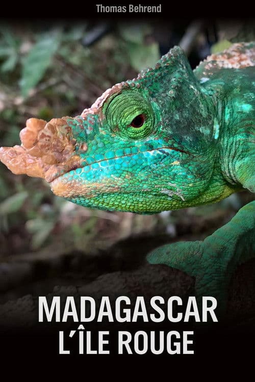 Постер: Unbekanntes Madagaskar