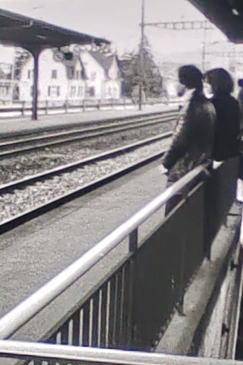 Постер: Der Zug hält nirgends