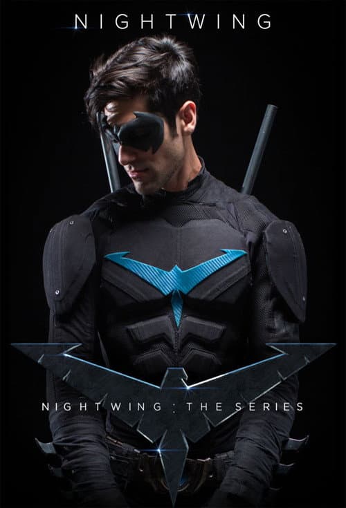 Постер: Nightwing: The Series