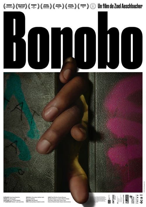Постер: Bonobo