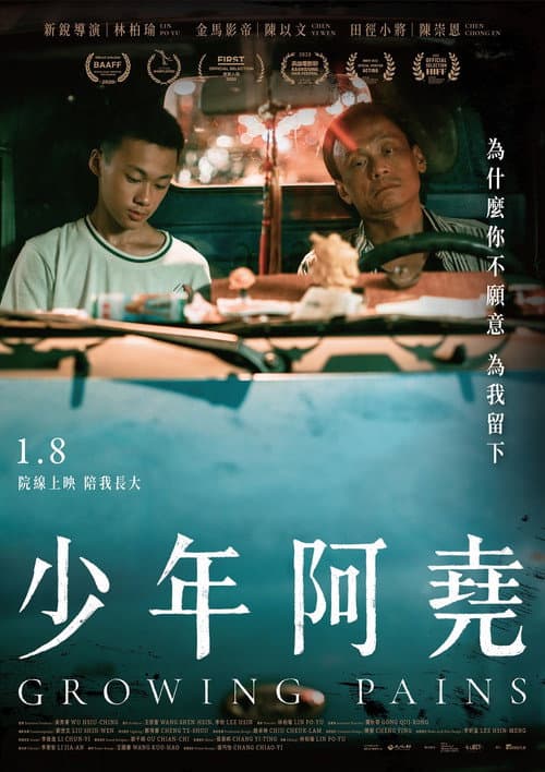 Постер: 少年阿堯