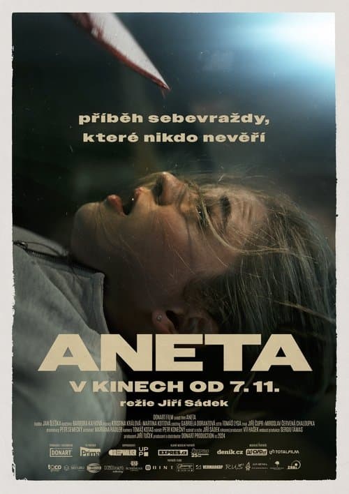 Постер: Aneta