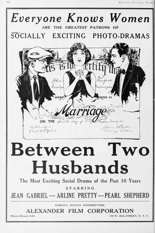 Постер: Between Two Husbands