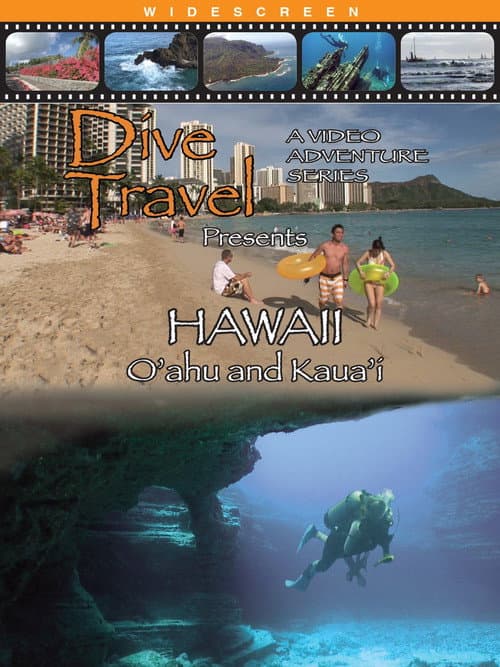 Постер: Dive Travel