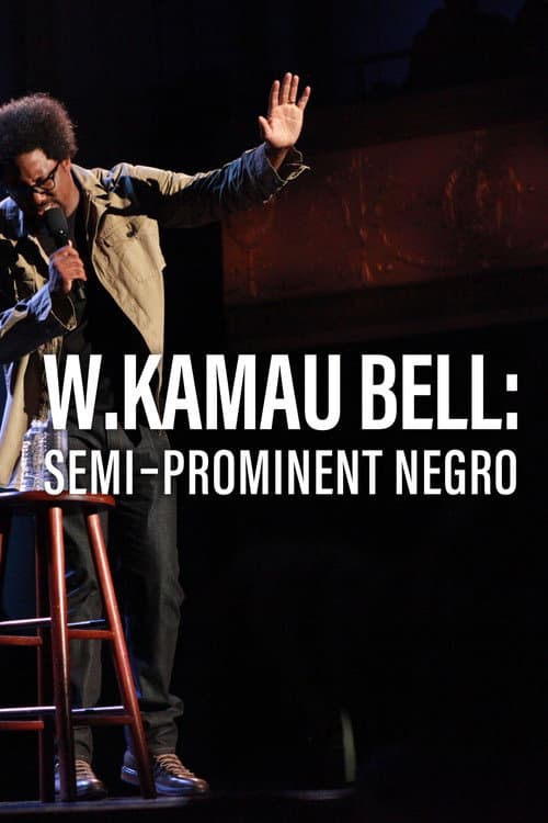 Постер: W. Kamau Bell: Semi-Prominent Negro