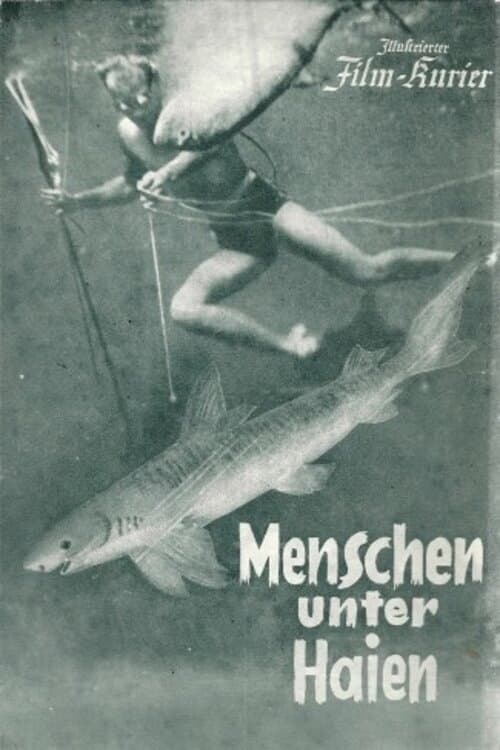 Постер: Menschen unter Haien