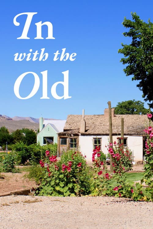 Постер: In With the Old