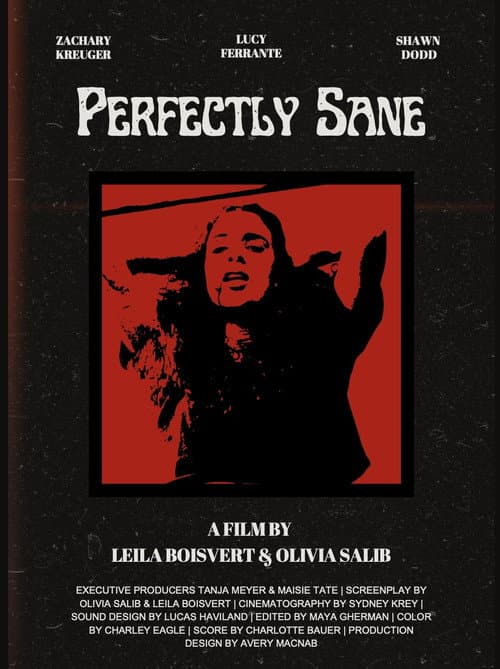 Постер: Perfectly Sane