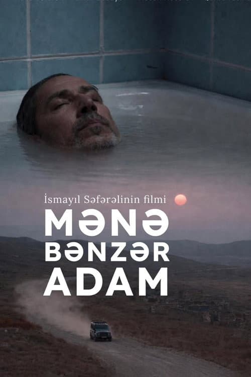 Постер: Mənə Bənzər Adam