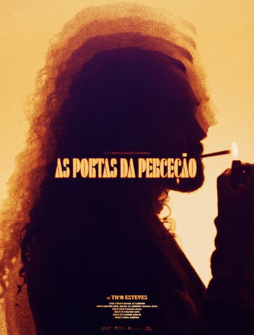 Постер: As Portas da Perceção
