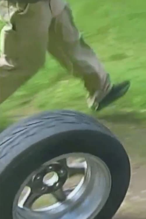 Постер: THE CAR BECOMES TREES