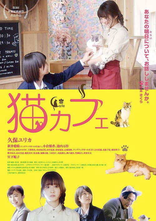 Постер: 猫カフェ