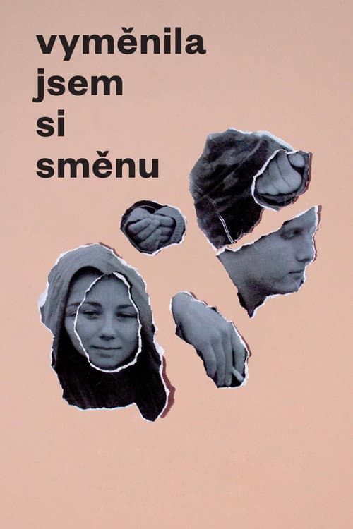 Постер: Vyměnila jsem si směnu