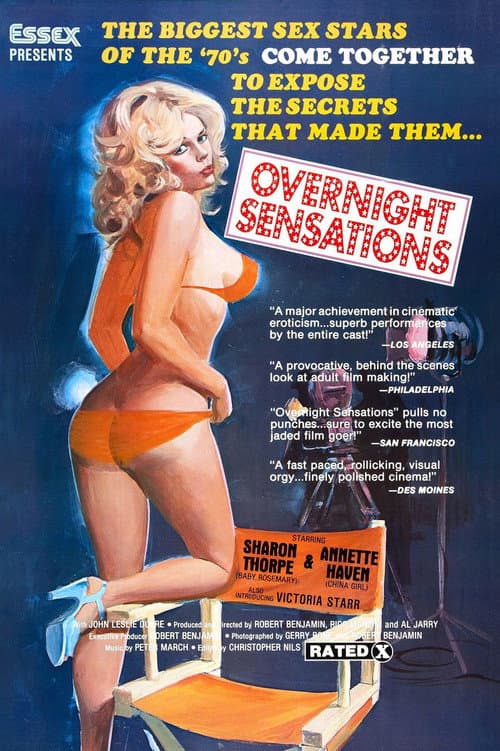 Постер: Overnight Sensation