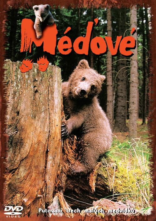 Постер: Méďové