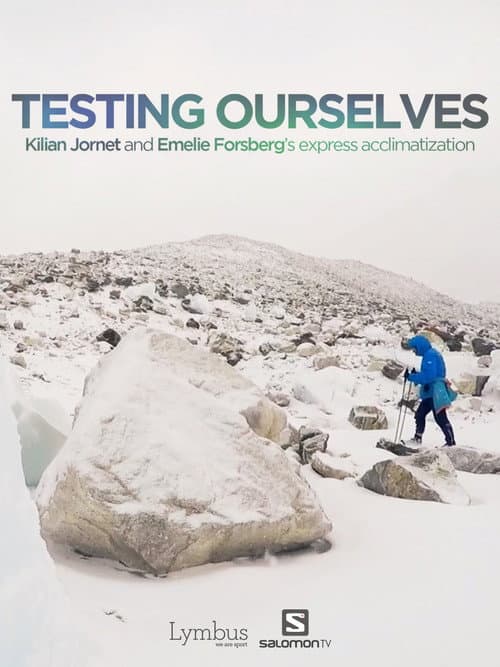 Постер: Testing Ourselves
