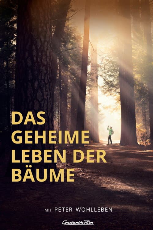 Постер: Das geheime Leben der Bäume