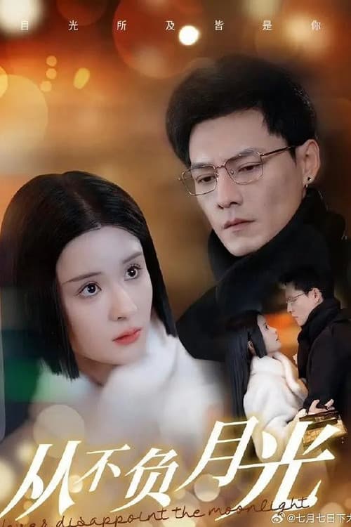 Постер: 从不负月光