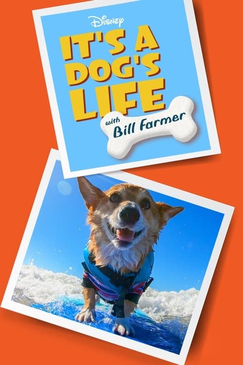 Постер: It's a Dog's Life with Bill Farmer