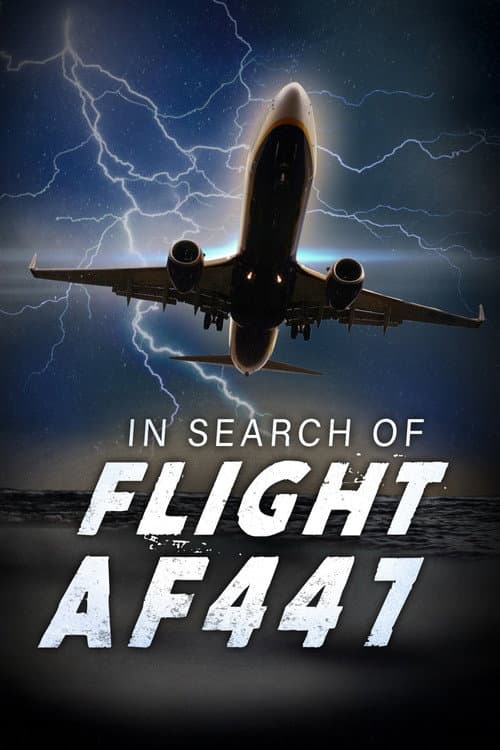 Постер: In Search of Flight AF447