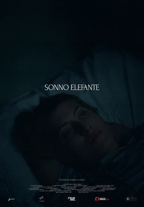 Постер: Sonno Elefante
