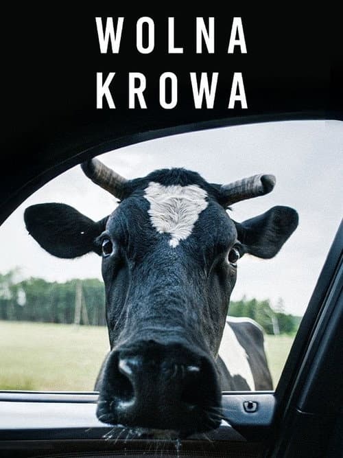 Постер: Wolna krowa