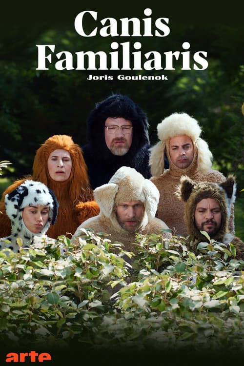 Постер: Canis familiaris