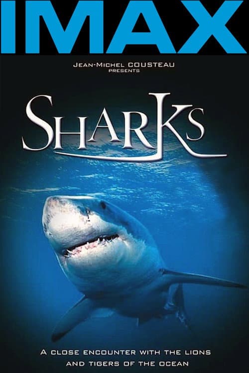 Постер: IMAX: Sharks 3D