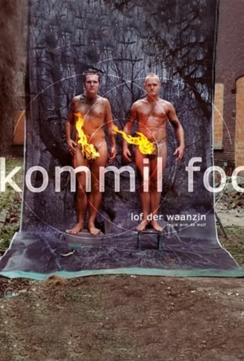 Постер: Kommil Foo: Lof der Waanzin