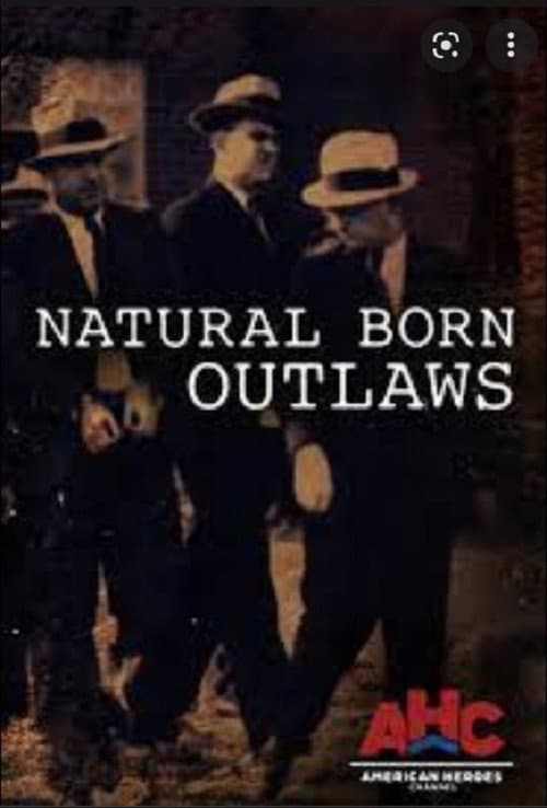 Постер: Natural Born Outlaws