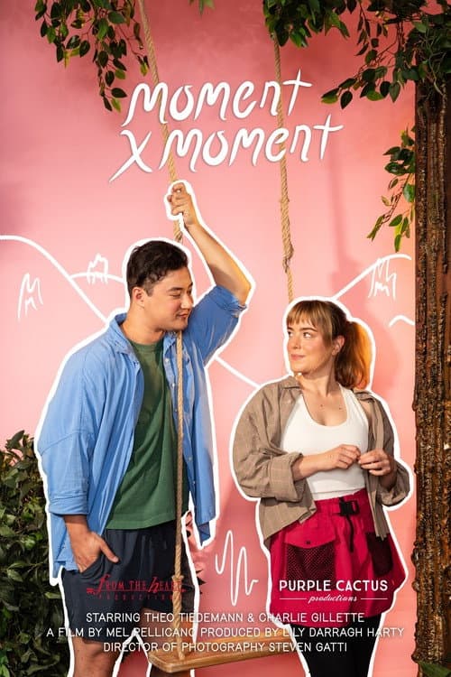 Постер: Moment by Moment