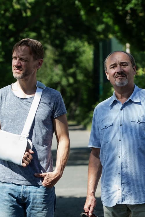 Постер: Případ pro malíře