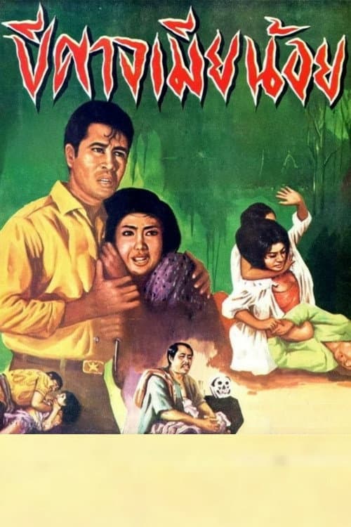 Постер: ปีศาจเมียน้อย