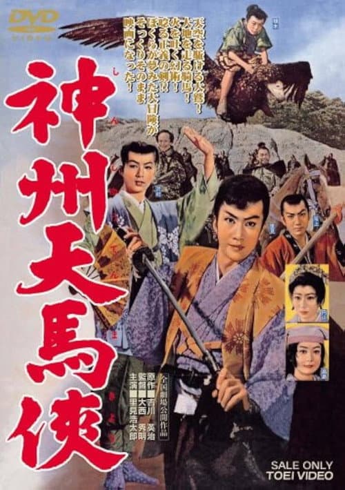 Постер: 神州天馬侠