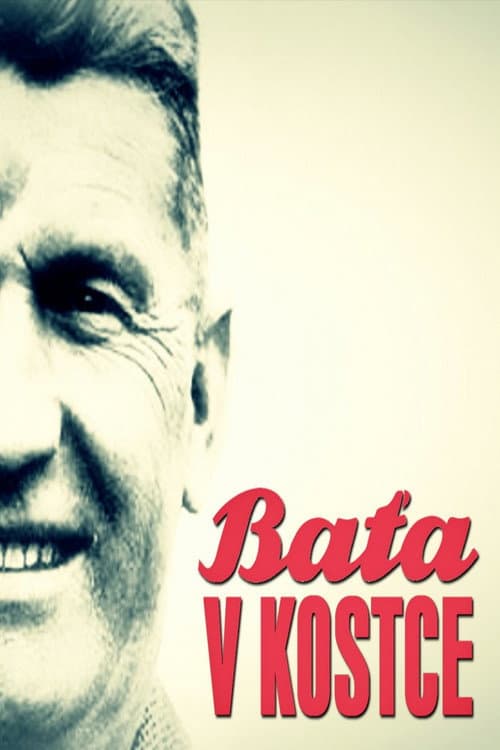 Постер: Baťa v kostce