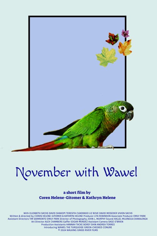 Постер: November with Wawel