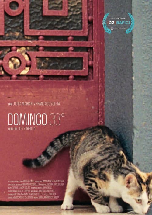 Постер: Domingo 33°