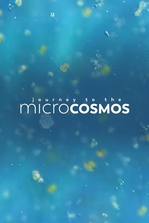 Постер: Journey to the Microcosmos