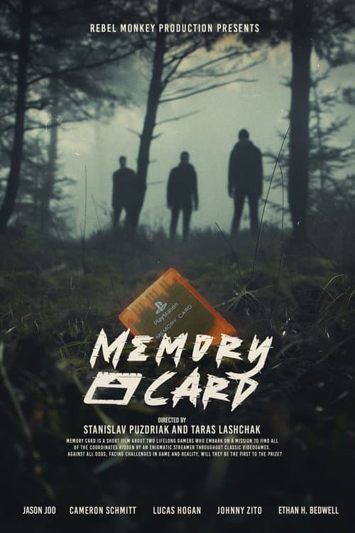 Постер: Memory Card